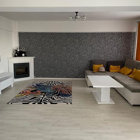 Panoramic M&M Apartment Suceava Ngoại thất bức ảnh