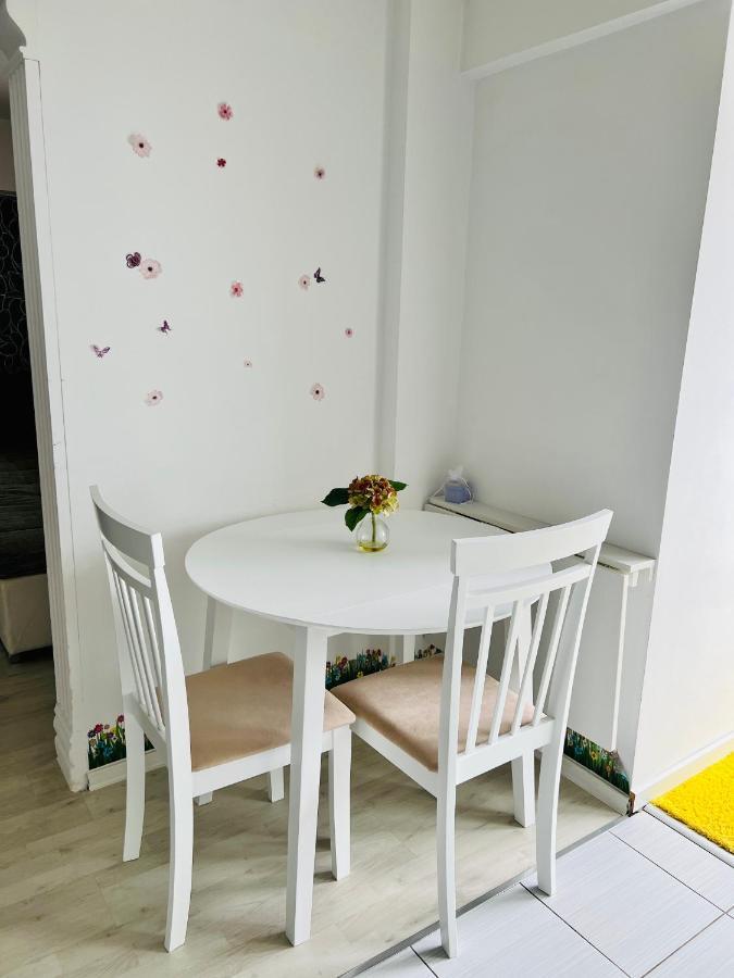 Panoramic M&M Apartment Suceava Ngoại thất bức ảnh